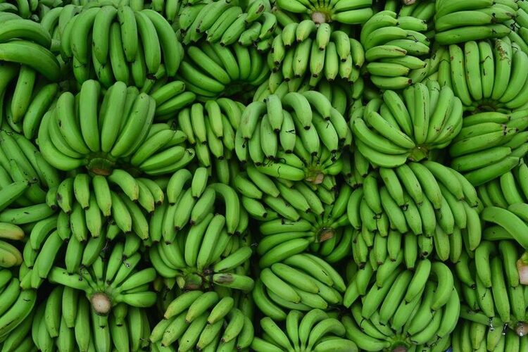 กล้วยน้ำว้า สุดยอดผลไม้ชั้นเลิศ พืชมหัศจรรย์ เป็นได้ทั้งอาหารและยา